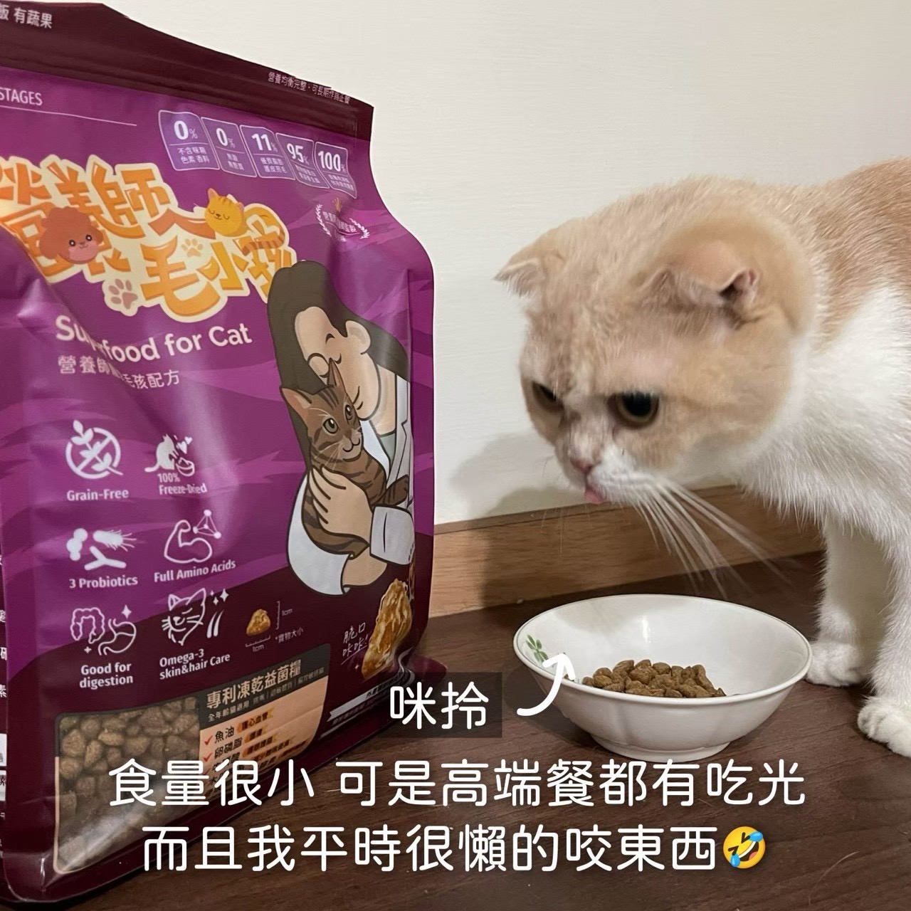 真實毛家長分享 1