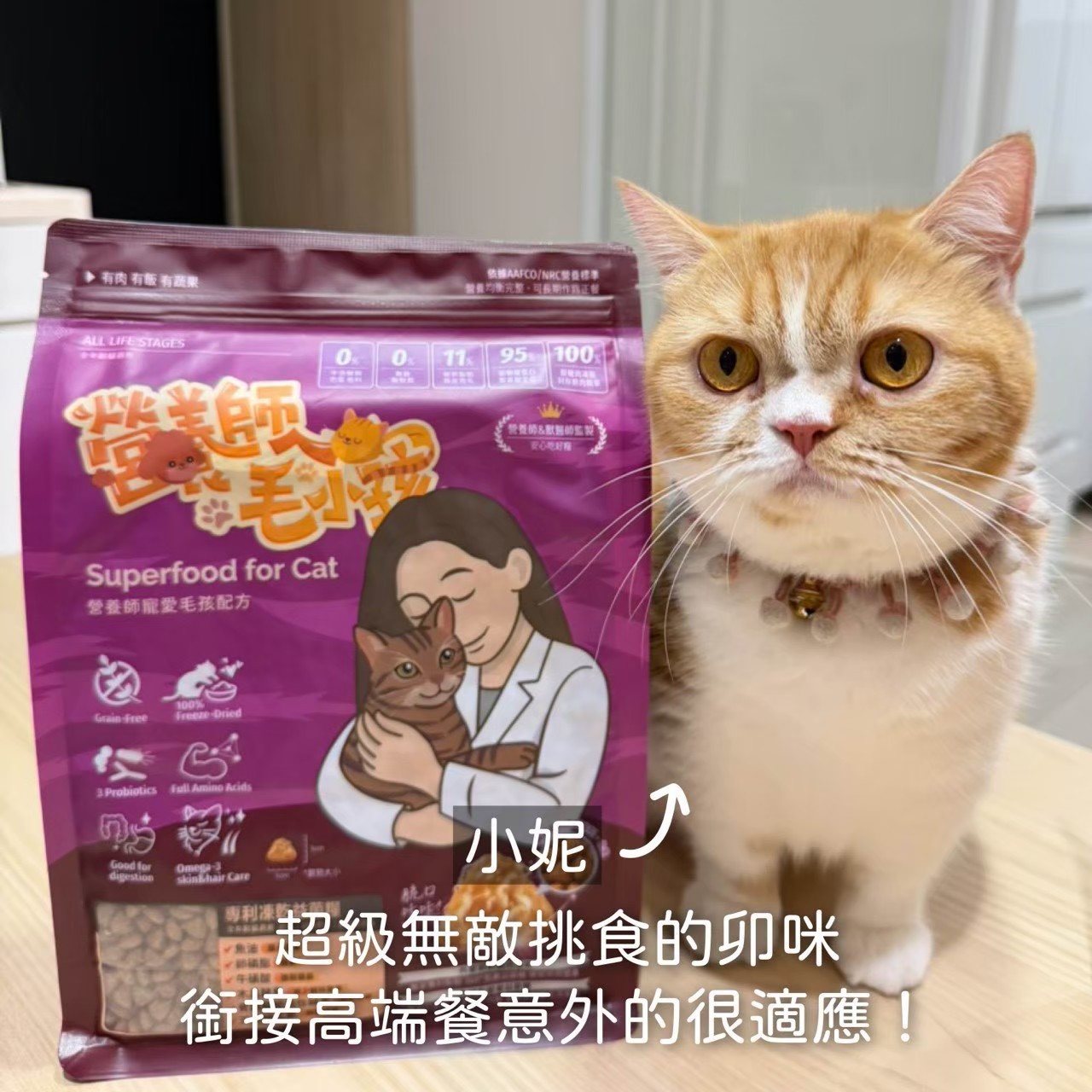 真實毛家長分享 2
