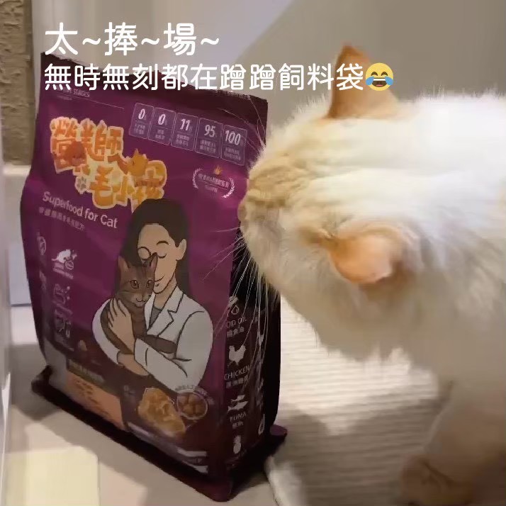 真實毛家長分享 4