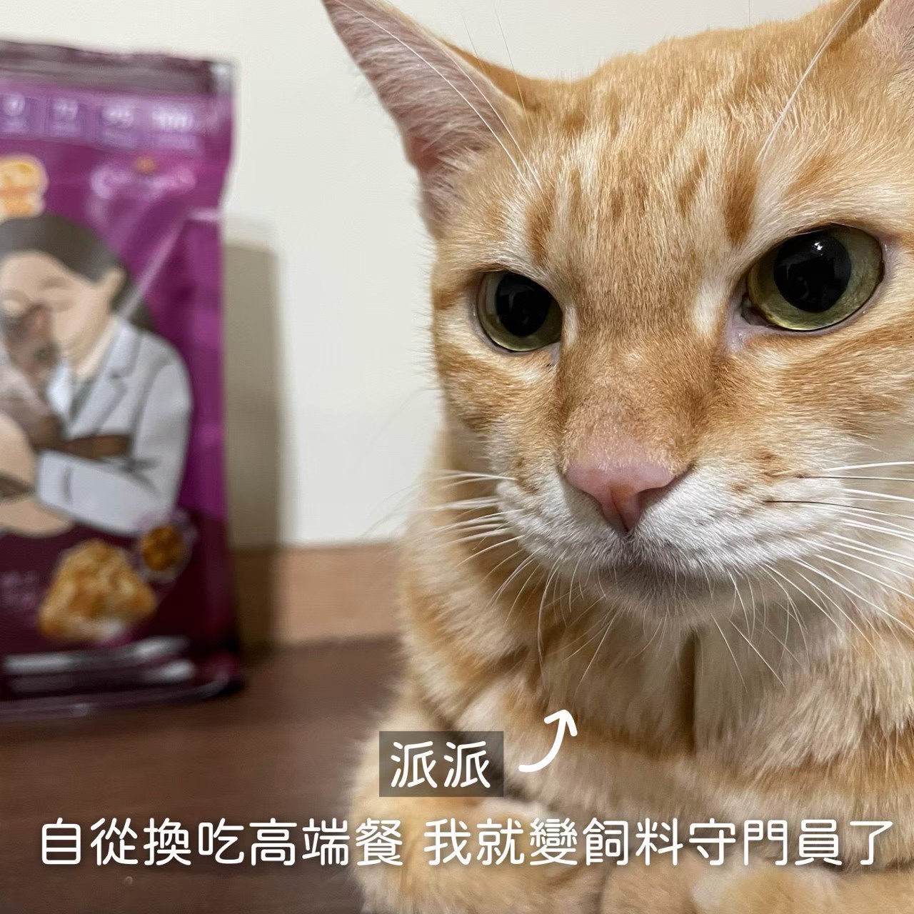 真實毛家長分享 6
