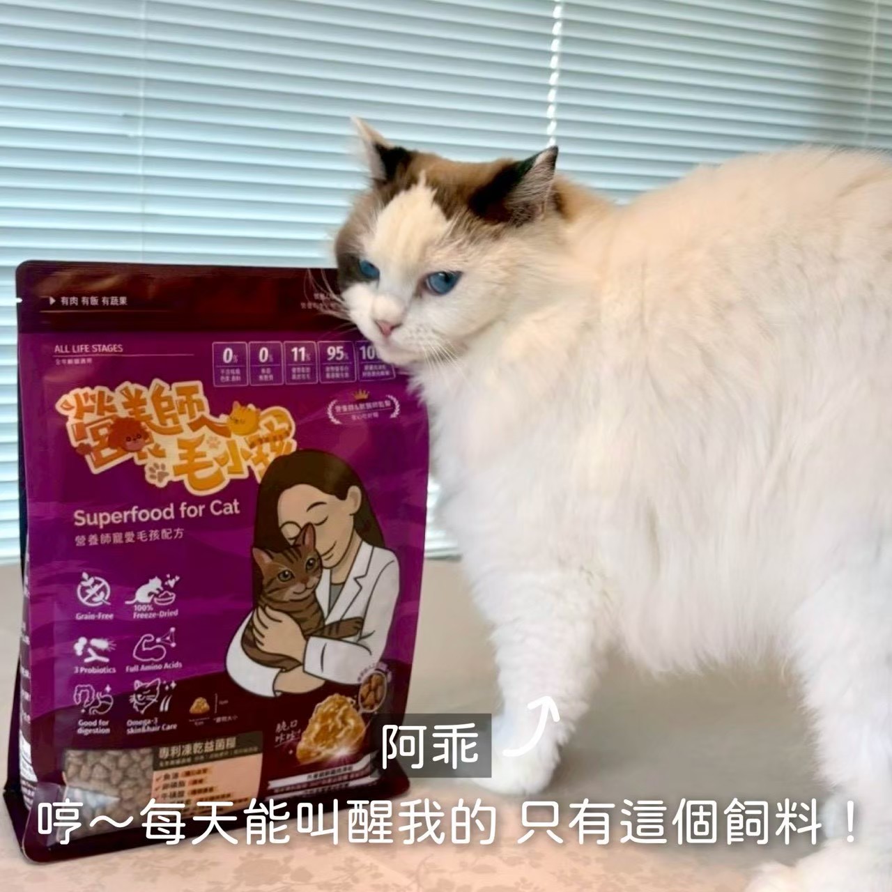 真實毛家長分享 7