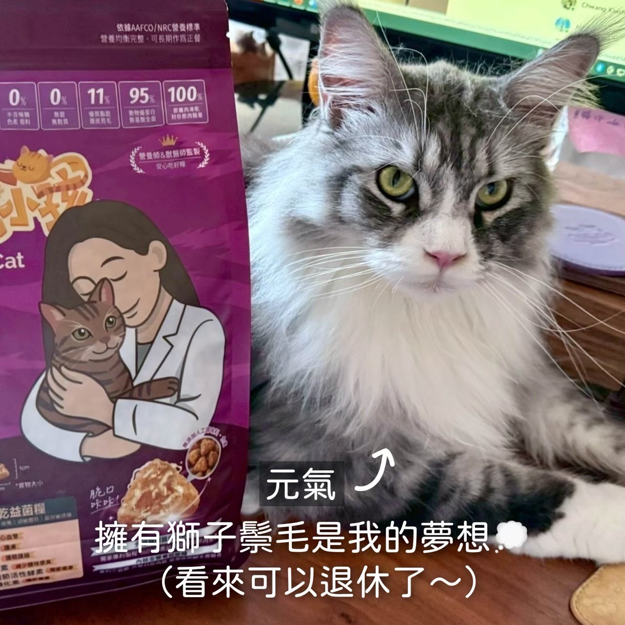 真實毛家長分享 8