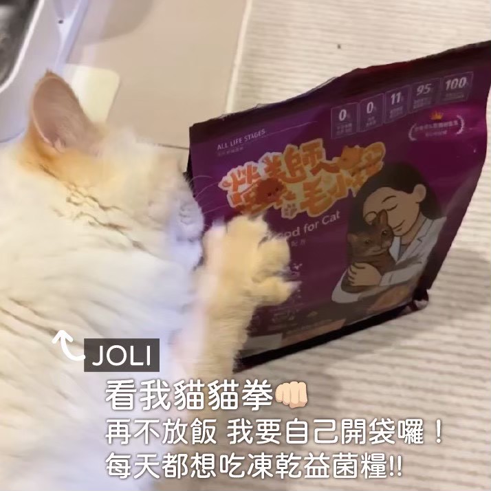 真實毛家長分享 9