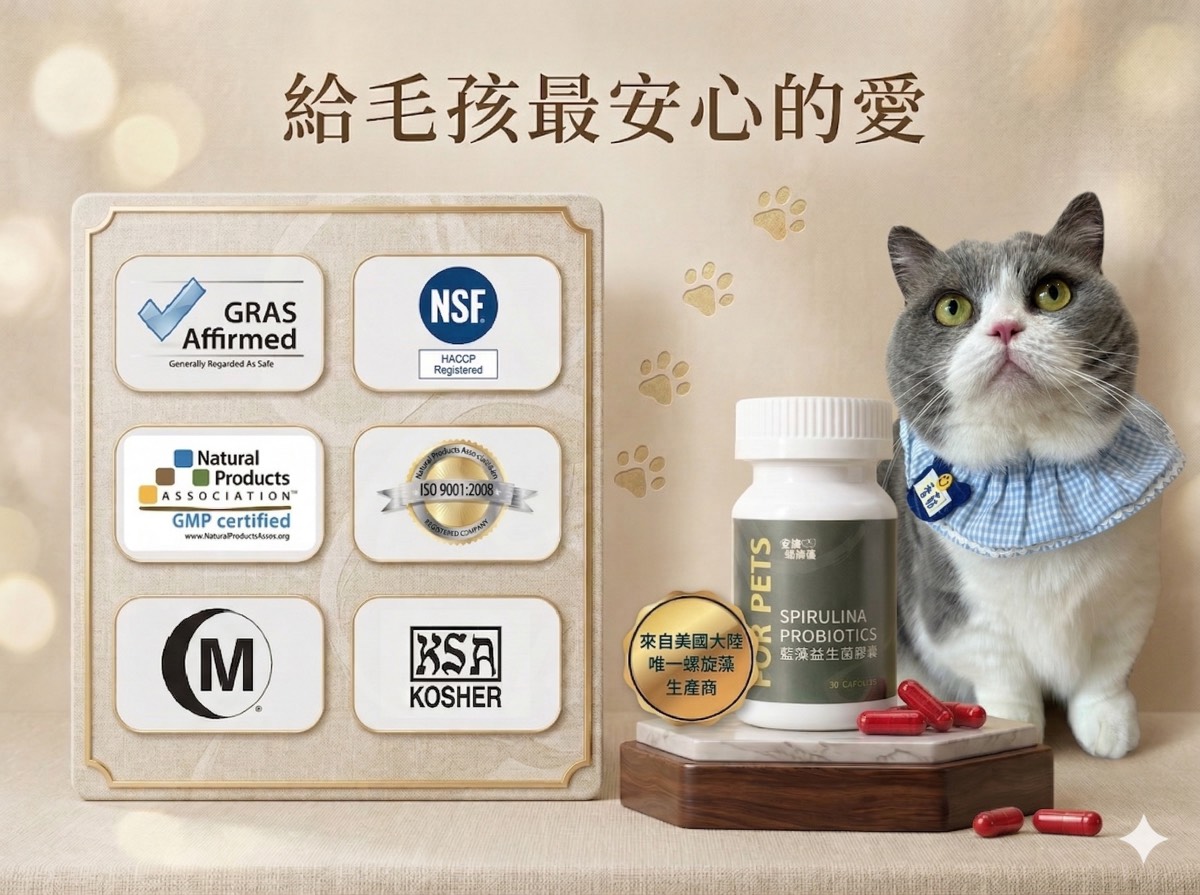 藍藻(螺旋藻)保護腸道