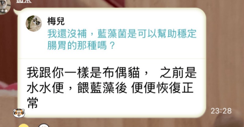 家長真實對話回饋 2